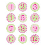 Pearhead Pink Milestones Stickers  (Baby's First Year Belly Stickers)