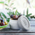 Monbento MB Temple L grey Coton - French Design. The large sauce cup.